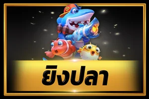 หน้าแรก Dinruay เว็บพนันออนไลน์ครบวงจร